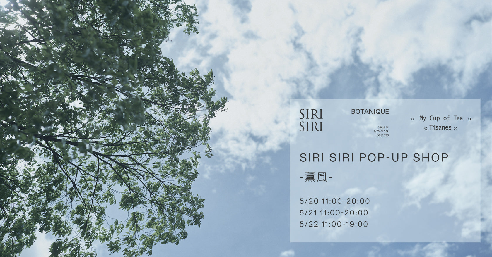 SIRI SIRI POP UP SHOP - 薫風 -