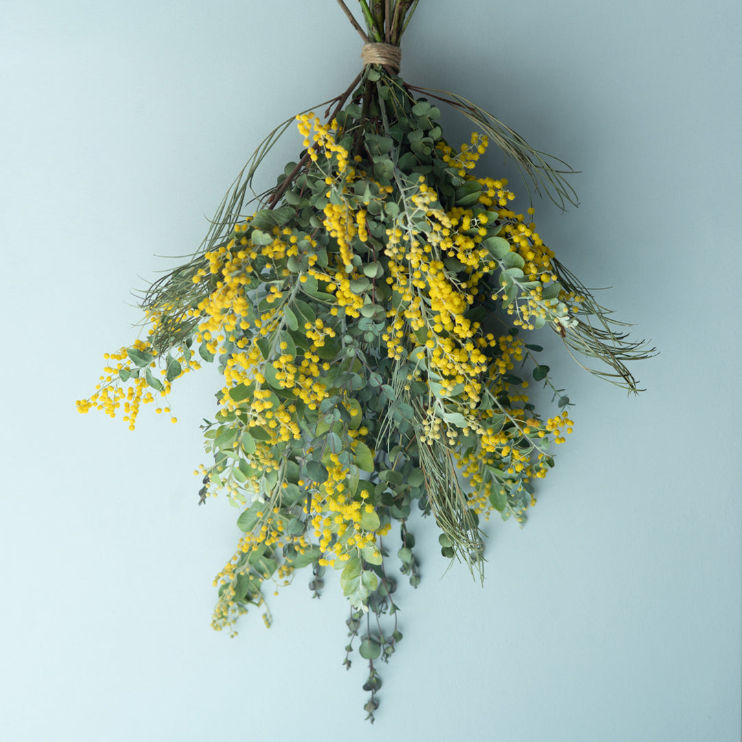 News of MIMOSA SWAG WORKSHOP
